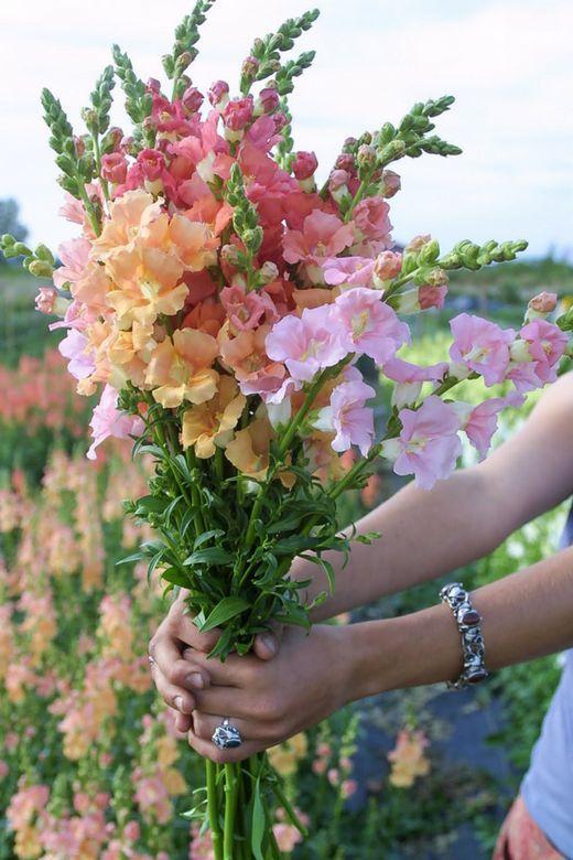 PetalStreamGlint workshop space where corporate flower arrangements are designed and prepared for business delivery